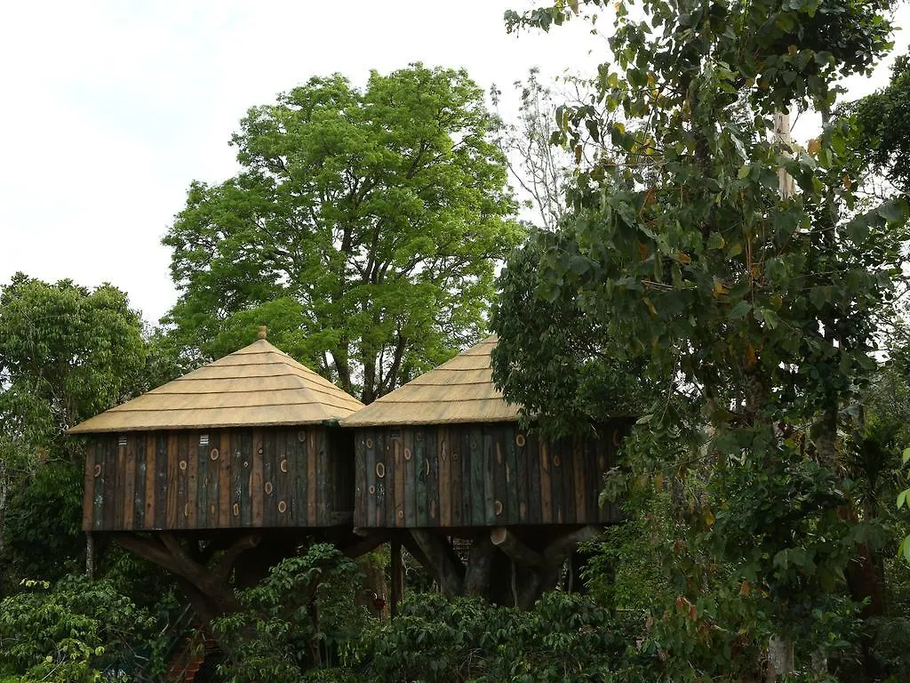 Bed and Breakfast Rangerwood Machan Jungle Tree House Thekkady