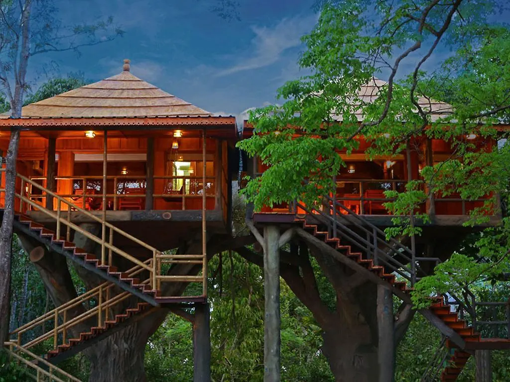 Rangerwood Machan Jungle Tree House Thekkady