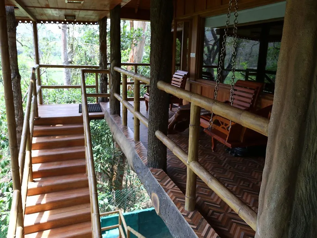 Bed and Breakfast Rangerwood Machan Jungle Tree House Thekkady