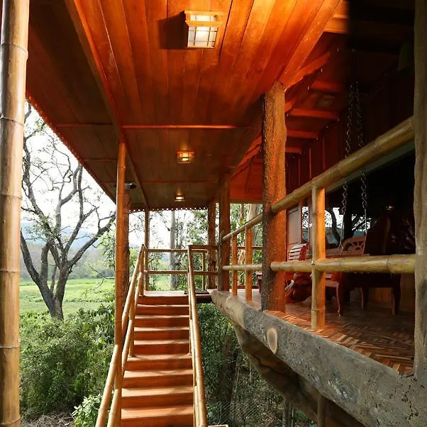 Rangerwood Machan Jungle Tree House Thekkady 4*,  Ινδία